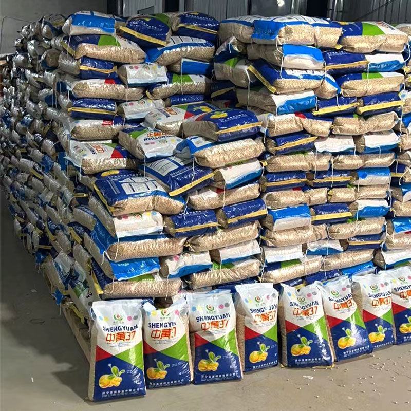 超级千斤豆黄豆种子审定大豆种籽大田基地抗病抗倒伏大粒黄豆