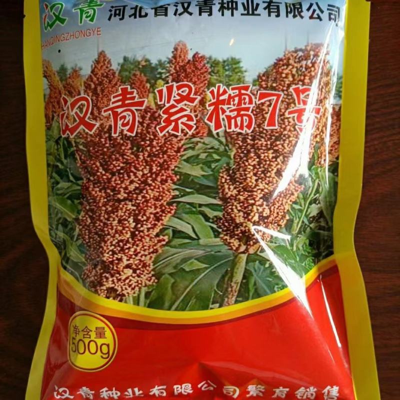 高粱种子：汉显紧糯7号