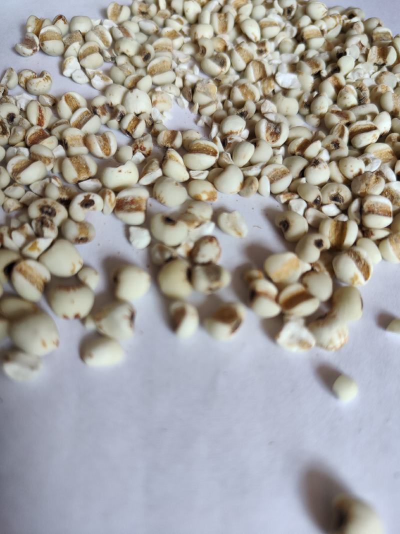 薏米01统大粒薏米批发零售