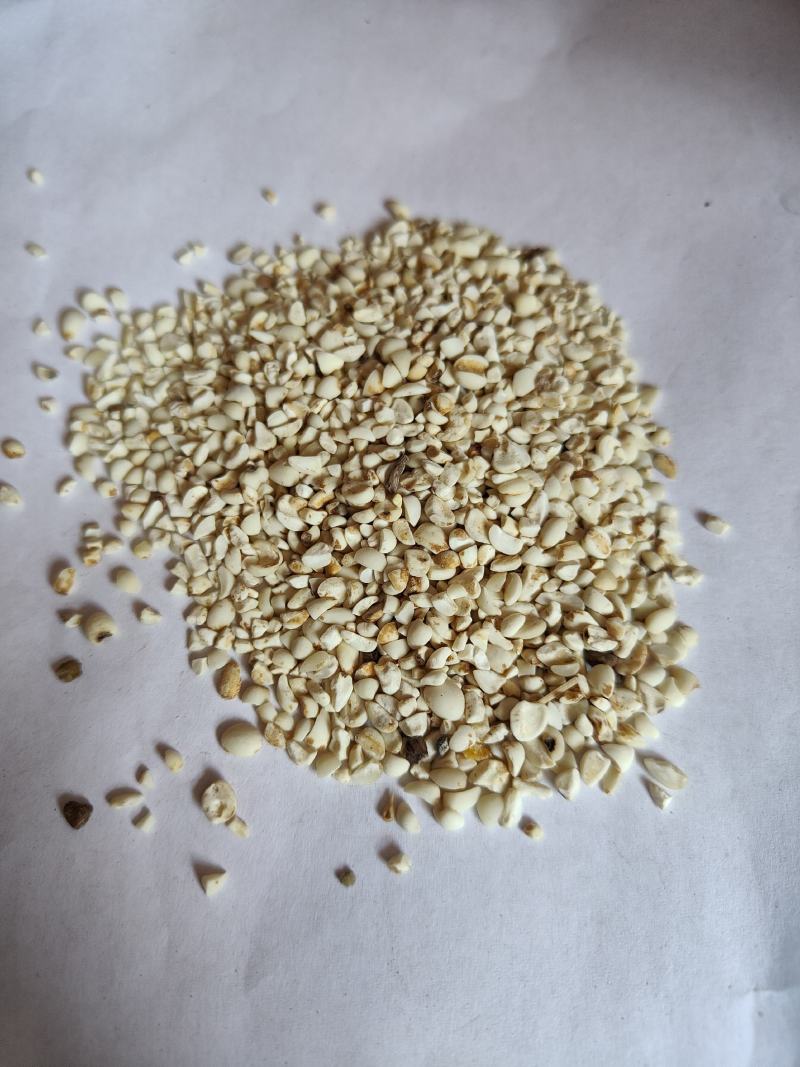 薏米01统大粒薏米批发零售