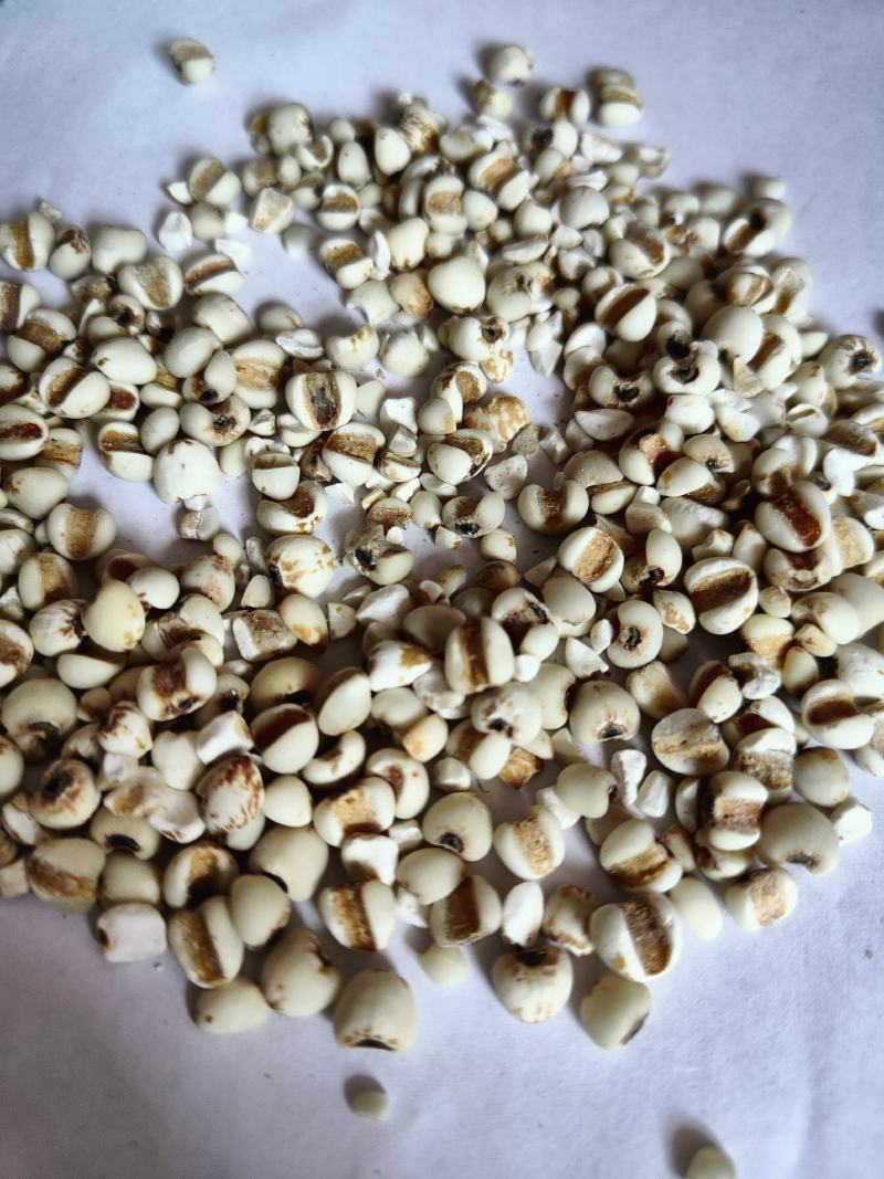 薏米01统大粒薏米批发零售