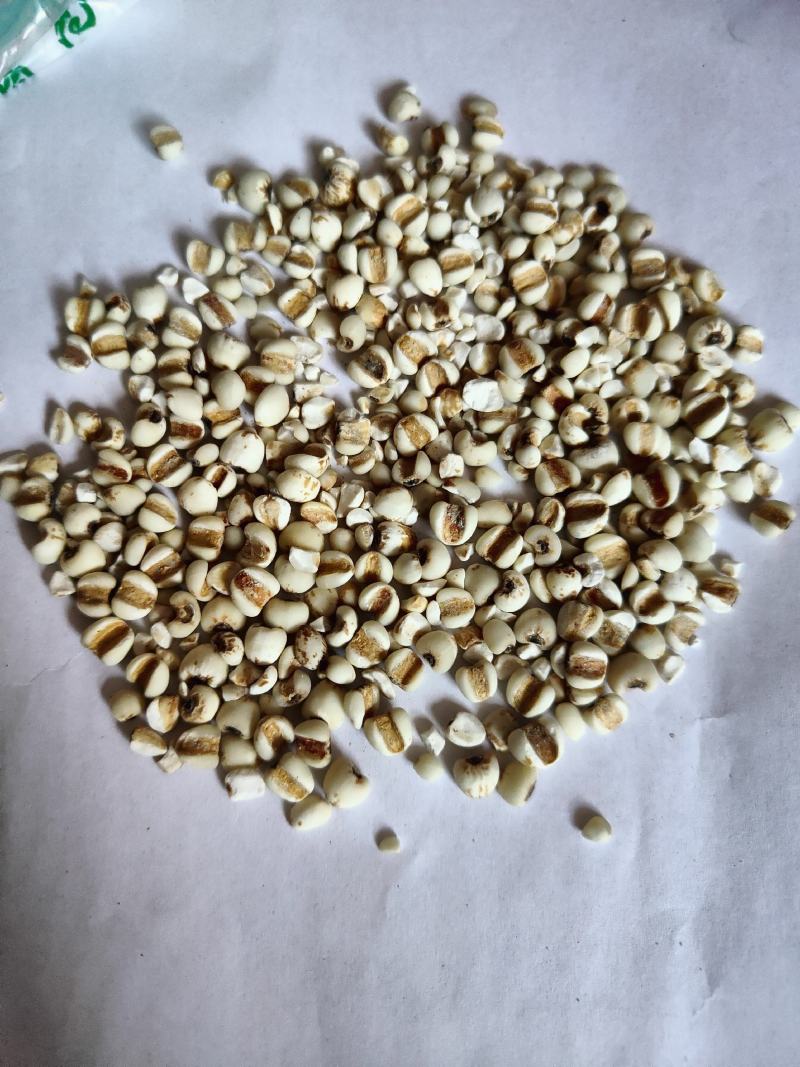 薏米01统大粒薏米批发零售