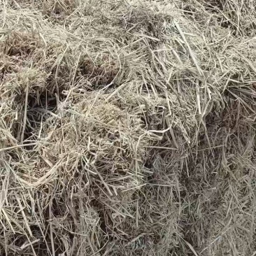 稻草，纤维草，菌草