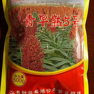 株号一米二，中颗粒早熟品种，积温2350