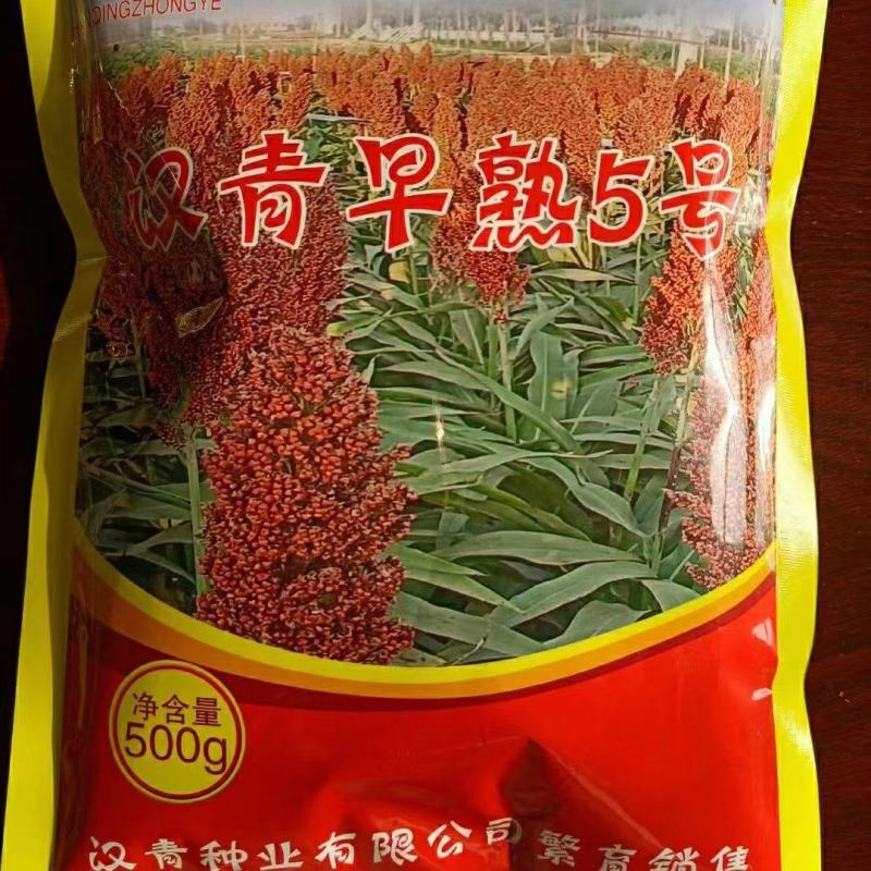 株号一米二，中颗粒早熟品种，积温2350