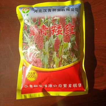 夏播小颗粒全糯品种。株高一米五，积温2450
