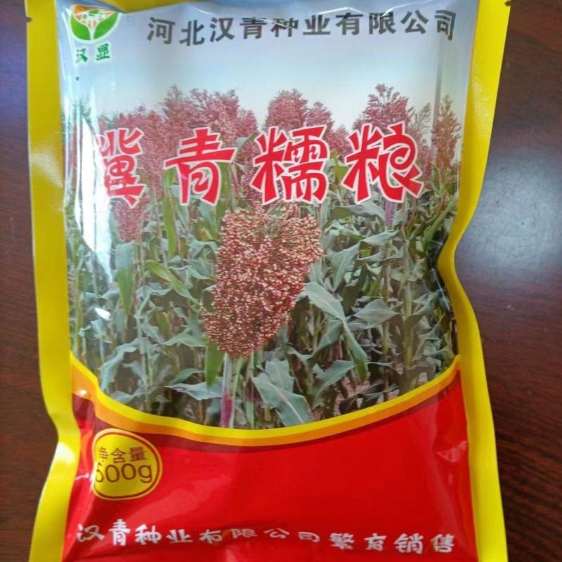 春播小颗粒全糯品种。株高一米七，积温2750