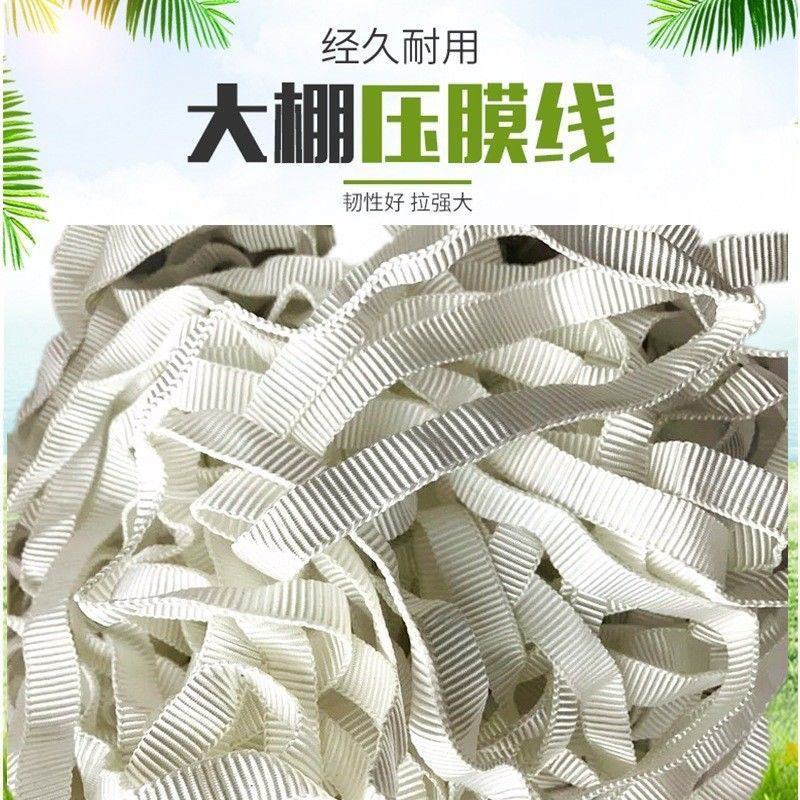 大棚抗老化压膜绳压膜带白色涤纶加厚耐磨压膜线压棚拉树枝绳