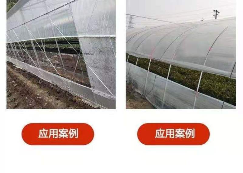 大棚抗老化压膜绳压膜带白色涤纶加厚耐磨压膜线压棚拉树枝绳
