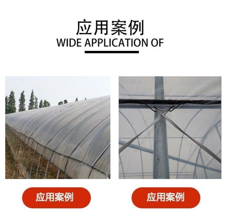 大棚抗老化压膜绳压膜带白色涤纶加厚耐磨压膜线压棚拉树枝绳
