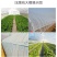 大棚抗老化压膜绳压膜带白色涤纶加厚耐磨压膜线压棚拉树枝绳