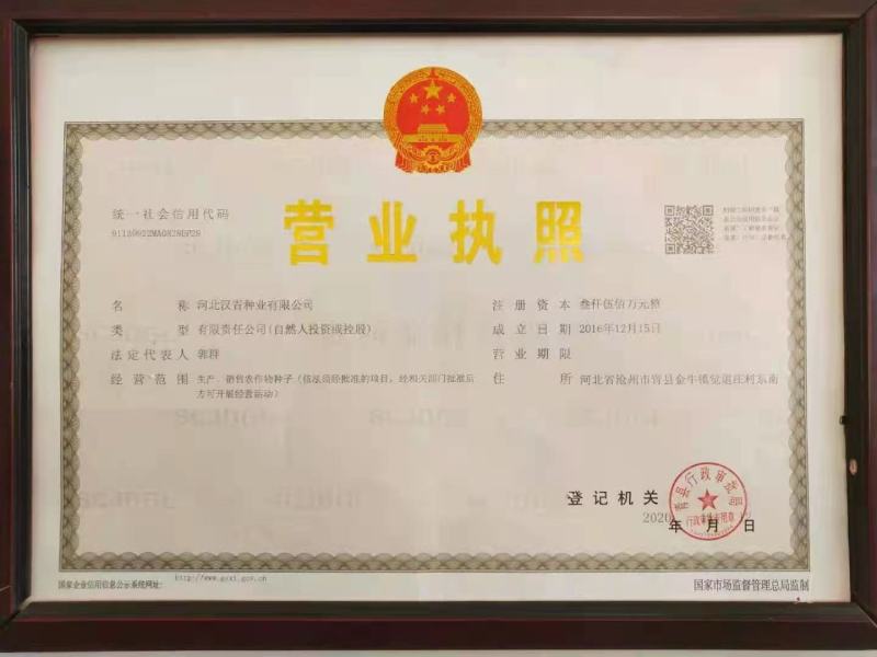 春播小颗粒全糯品种。株高一米七，积温2750