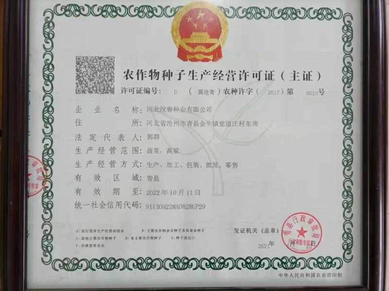 春播小颗粒全糯品种。株高一米七，积温2750