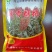 春播小颗粒全糯品种。株高一米七,积温2750