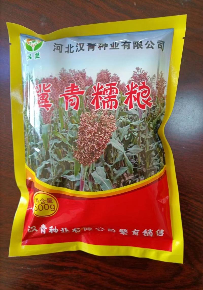 春播小颗粒全糯品种。株高一米七，积温2750