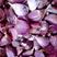 紫皮蒜瓣云南大理紫皮红皮蒜瓣纯手工红根硬叶出蒜苔蒜果