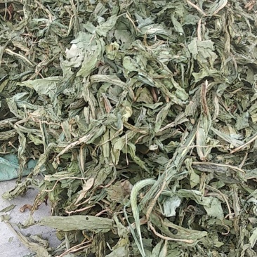 干食叶草粉高蛋白，全营养，猪牛羊马驴鸡鸭鹅鱼狗兔等原配料