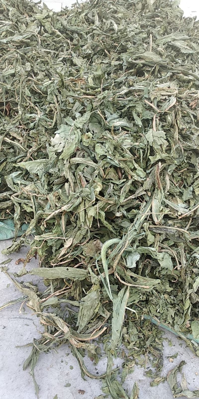 干食叶草粉高蛋白，全营养，猪牛羊马驴鸡鸭鹅鱼狗兔等原配料