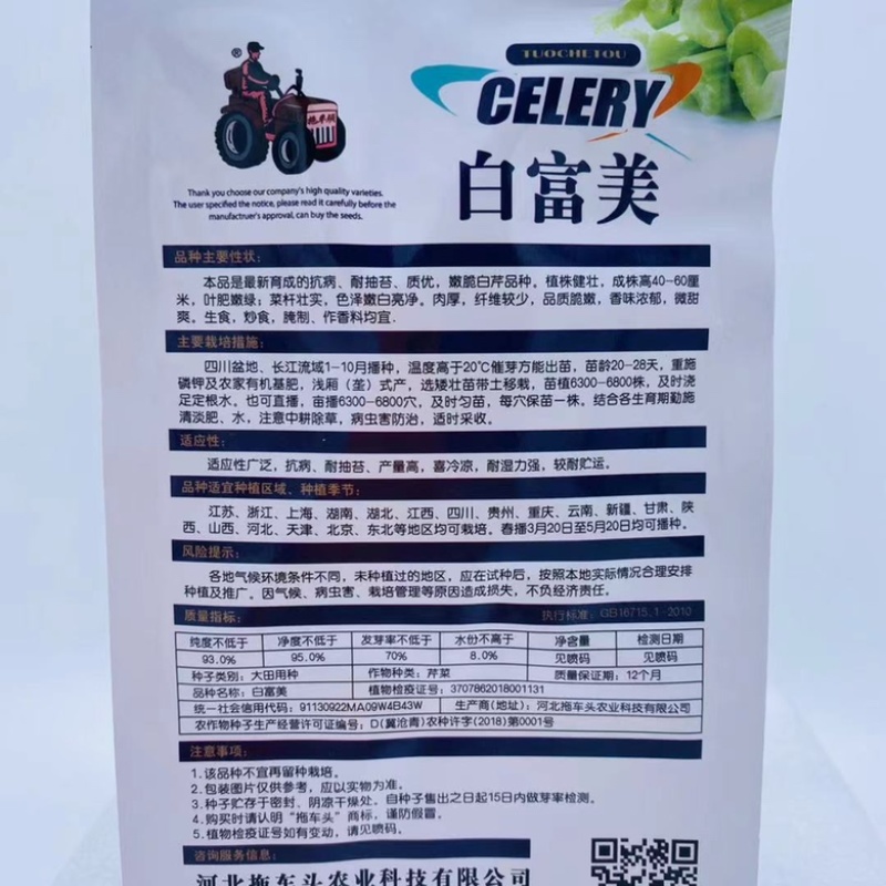 白根芹菜品种种子白玉叶丙实心