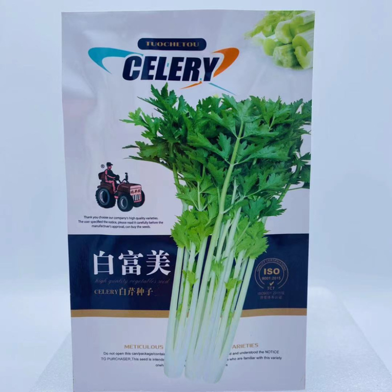 白根芹菜品种种子白玉叶丙实心