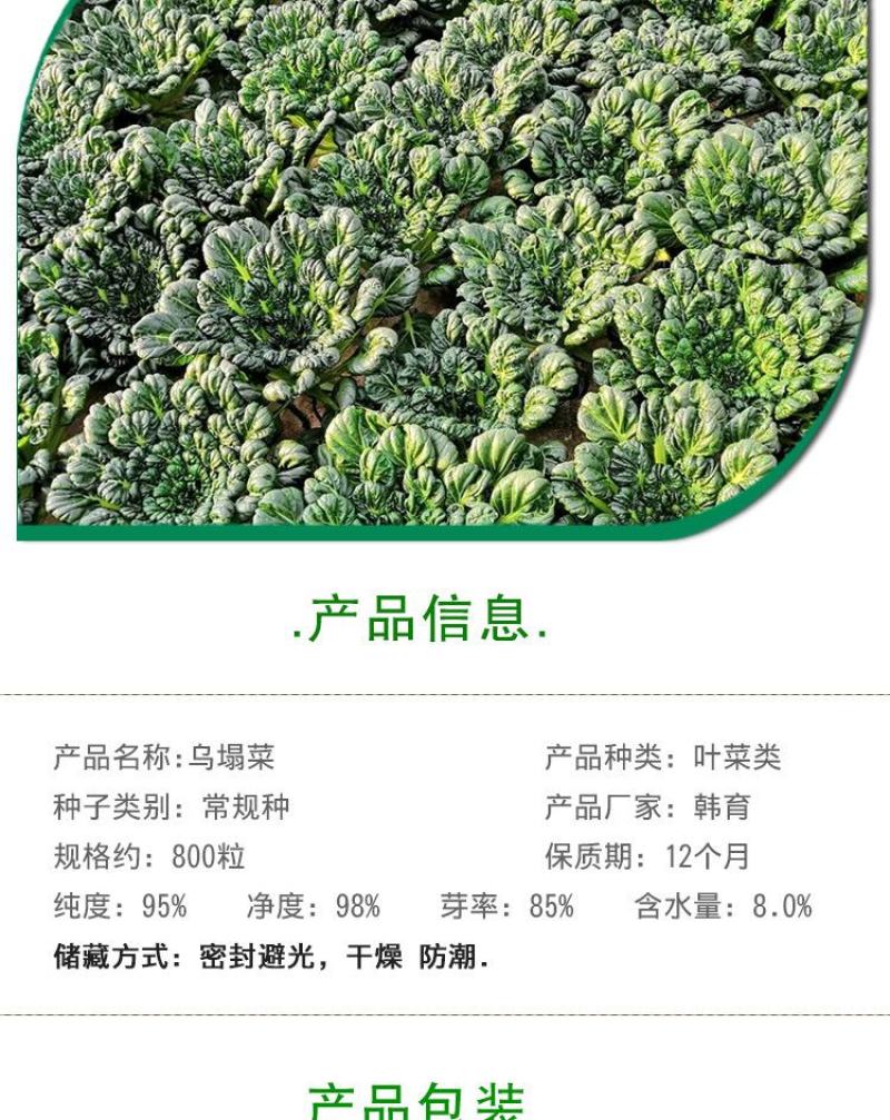 乌塌菜种子，800粒