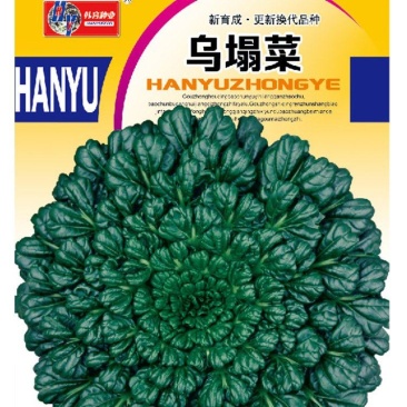 乌塌菜种子，800粒