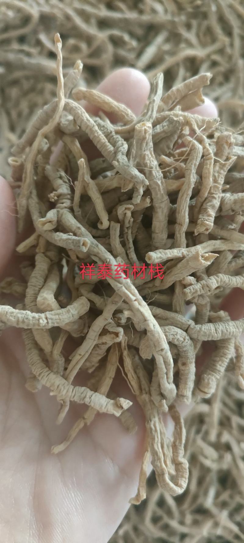 （热销）远志抽芯率达90%货好实物拍摄量多从优产地大货