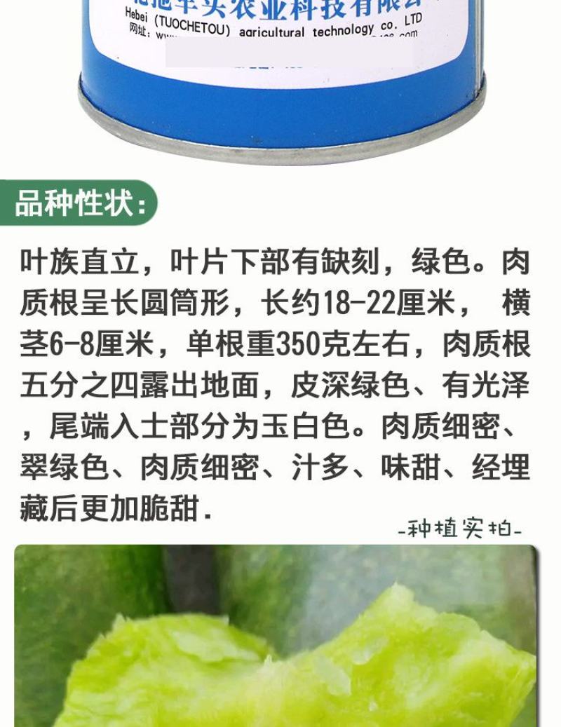 冰糖脆水果萝卜种子，50克