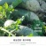 冰糖脆水果萝卜种子，50克