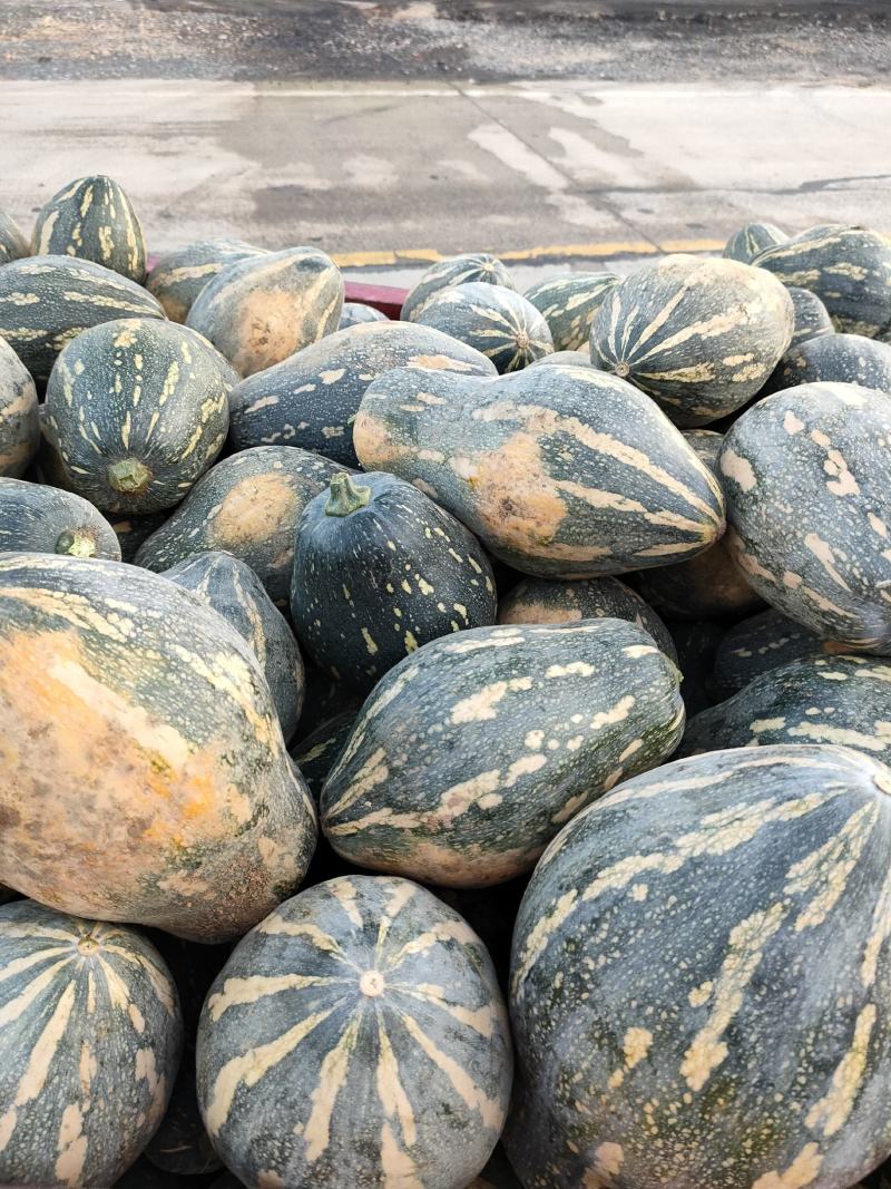广西省贺州市富川县精品香芋南瓜~顶呱呱