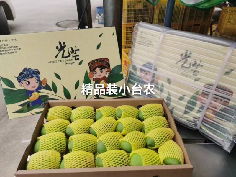 小台农VS小金煌
