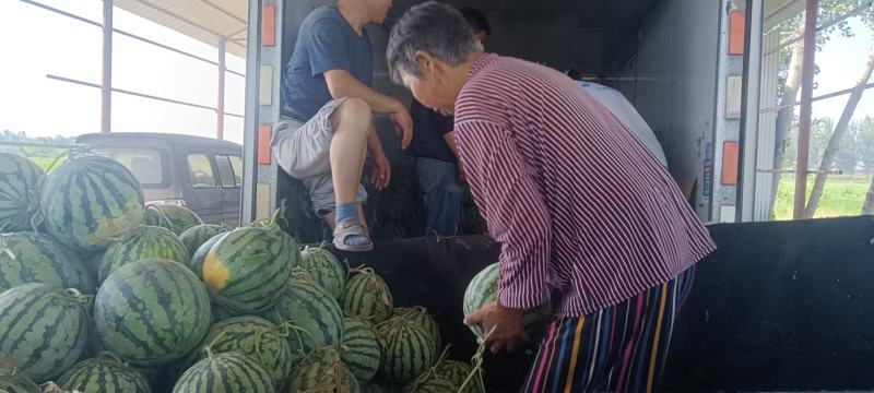 西瓜，开封祥符区陆地美都西瓜，大量供应，质量保证，