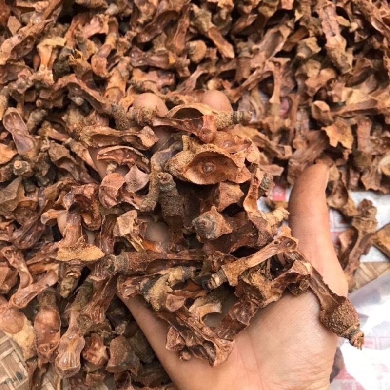 茶籽心油茶籽心油茶树果实无硫无提取