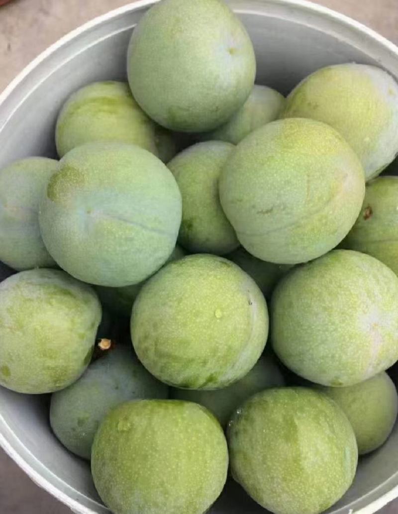 青脆李子，脆甜脱骨，无渣水分足。产地代收代发。