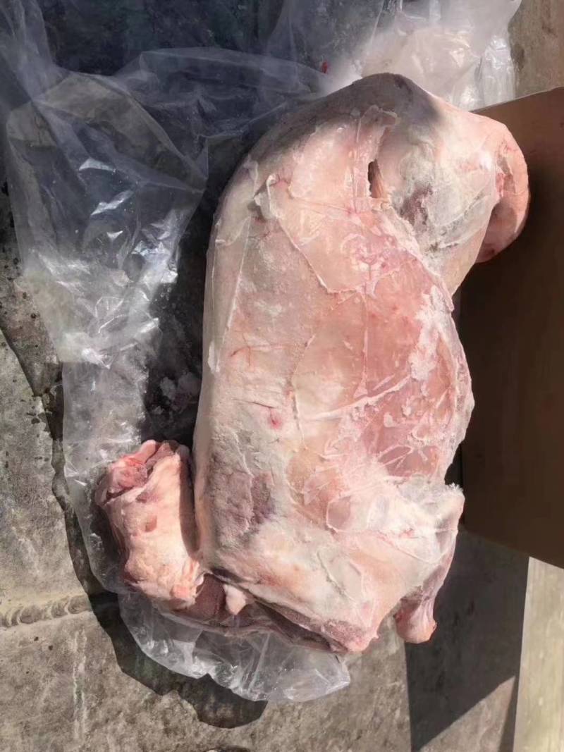 白条羊胴体，一只起发，量大从优，感兴趣欢迎光临！