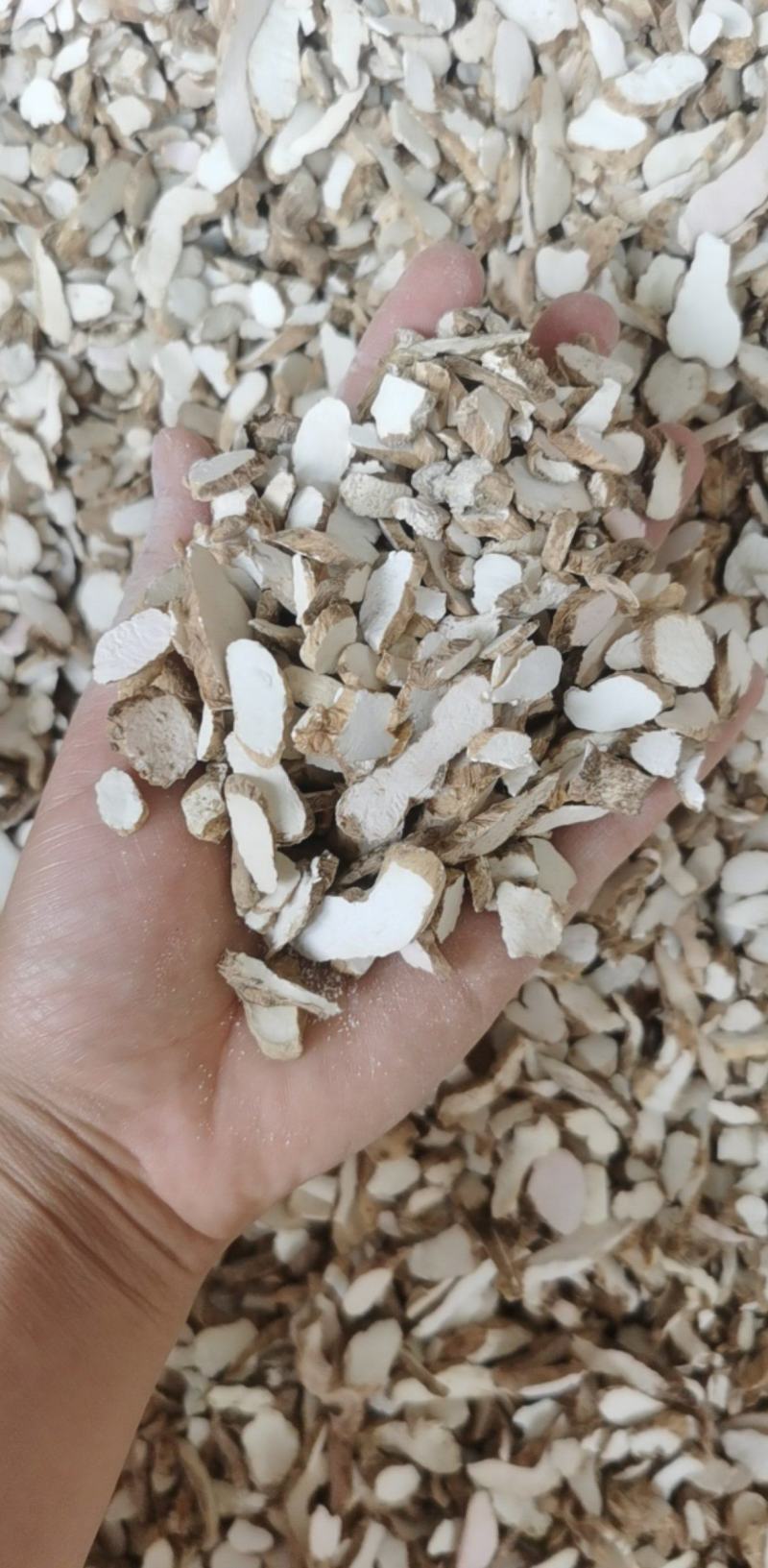 水洗淮山药统装500g产地河南振兴药材购销站