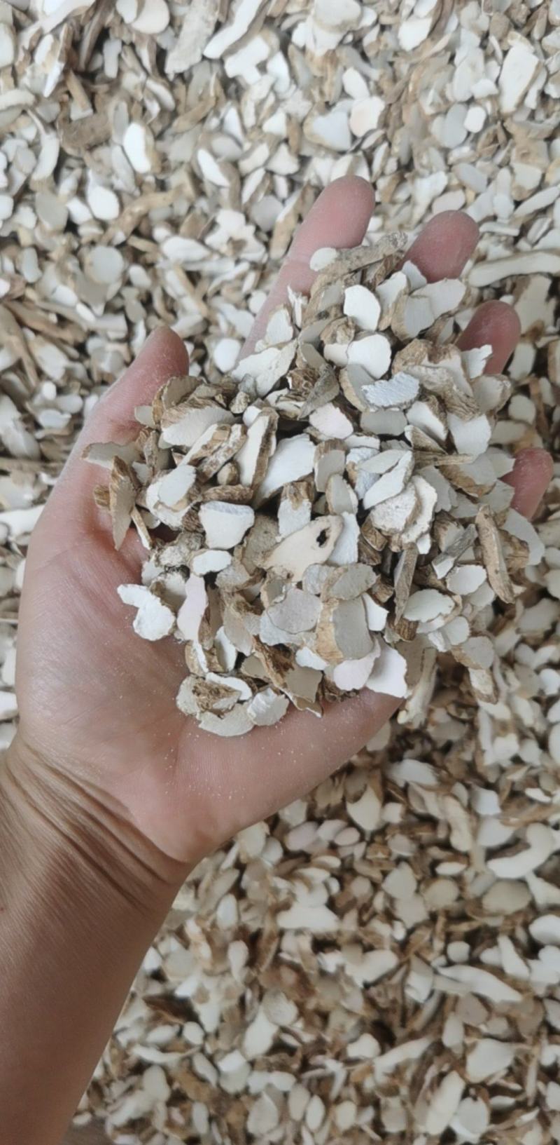 水洗淮山药统装500g产地河南振兴药材购销站