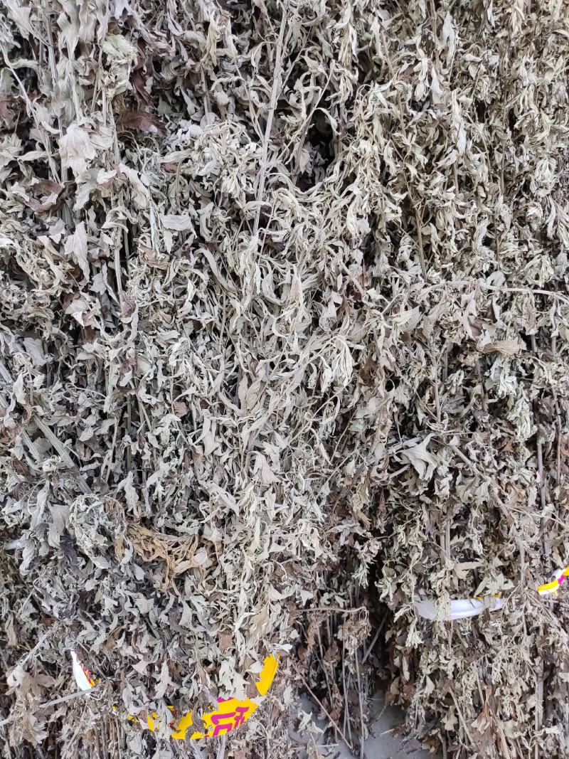 蕲艾干货，通货种类齐全