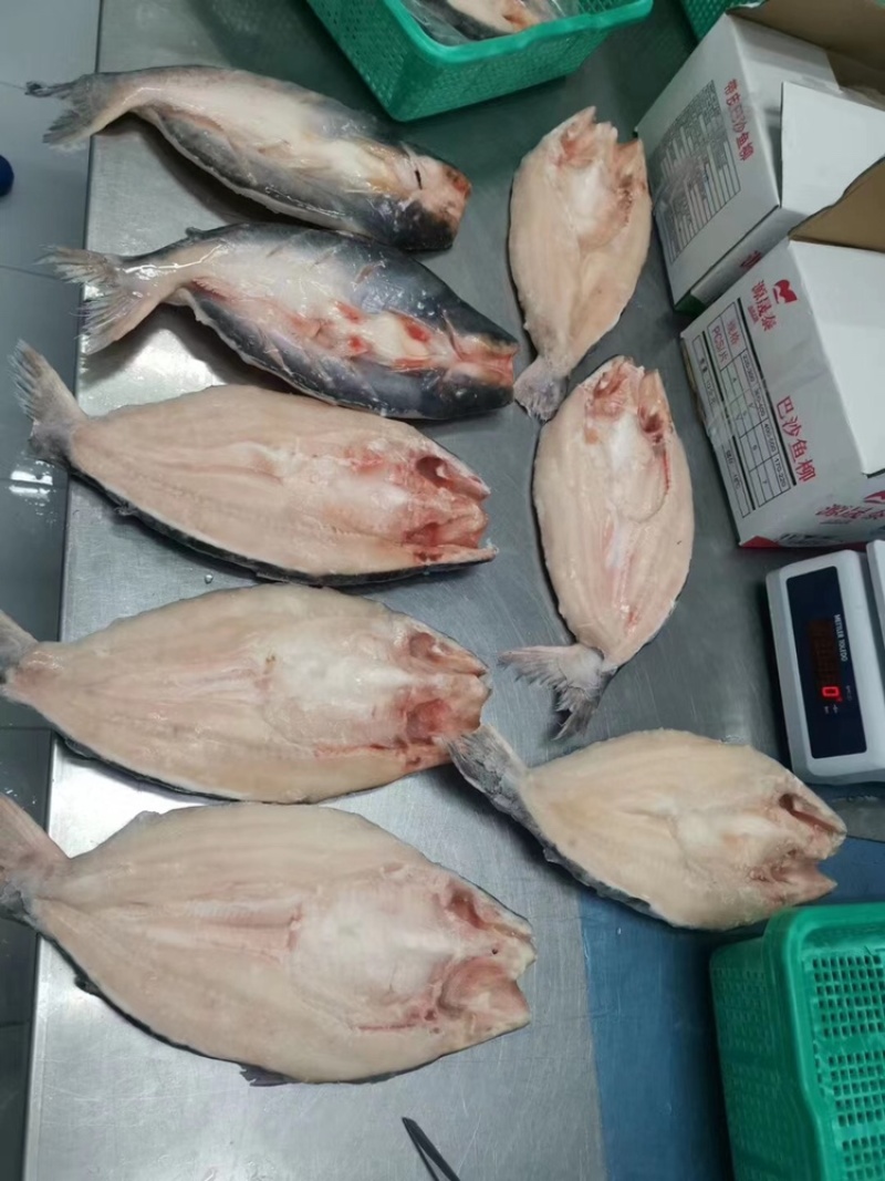 开背巴沙鱼，正关带票越南DL478工厂生产