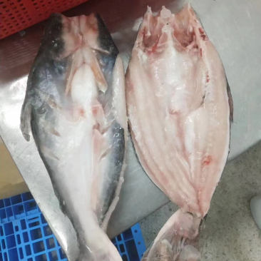 开背巴沙鱼，正关带票越南DL478工厂生产