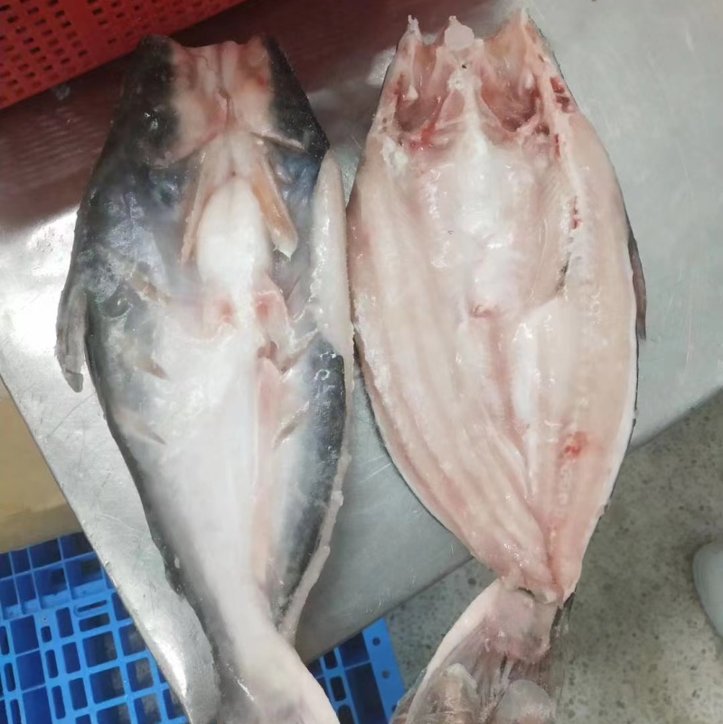 开背巴沙鱼，正关带票越南DL478工厂生产