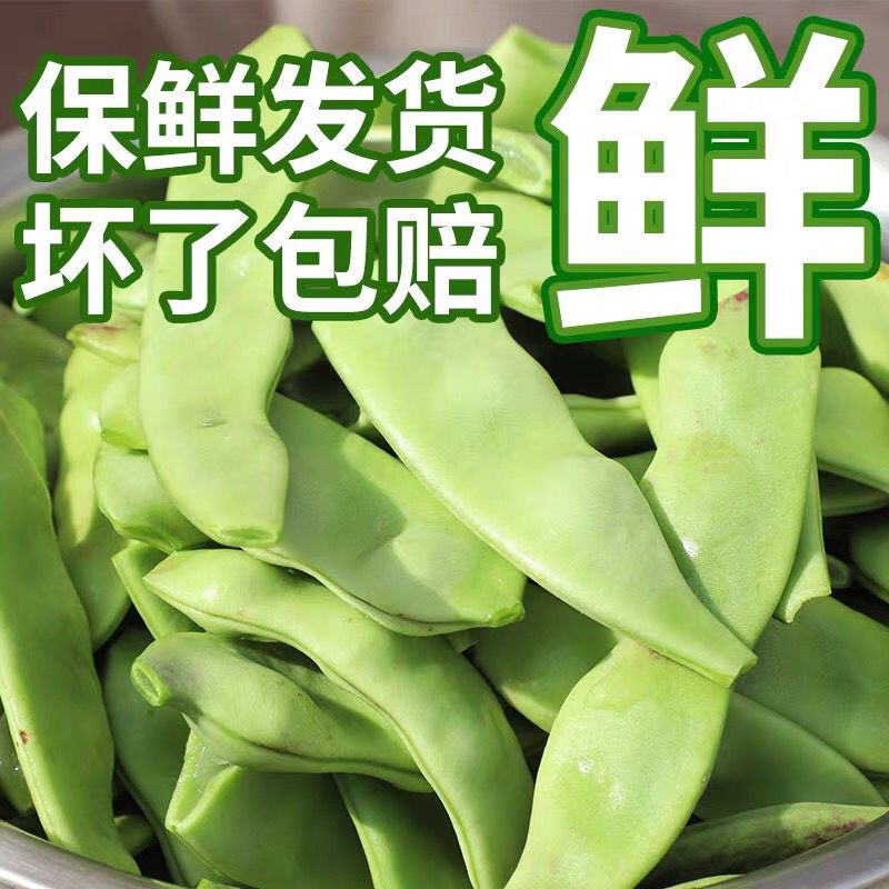 吉林产区油豆角大量上市货源充足可代发全国
