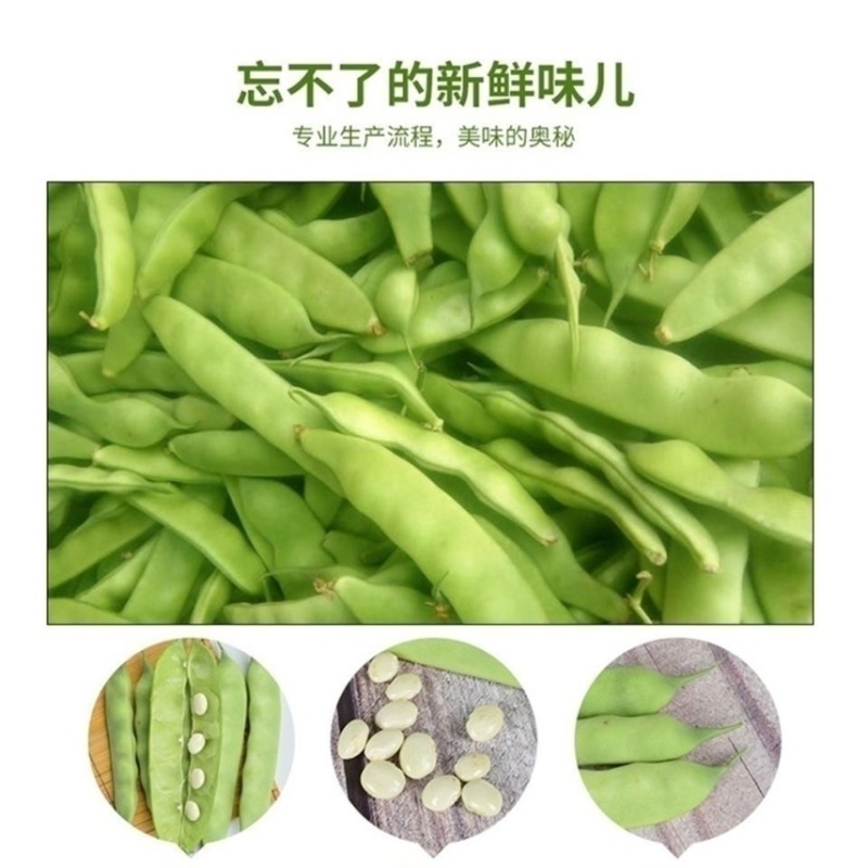 吉林产区油豆角大量上市货源充足可代发全国