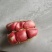 红米花生,红米花生大量上市。基地供货,品质有保证。