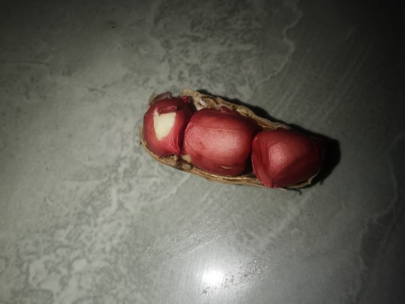 红米花生，红米花生大量上市。基地供货，品质有保证。