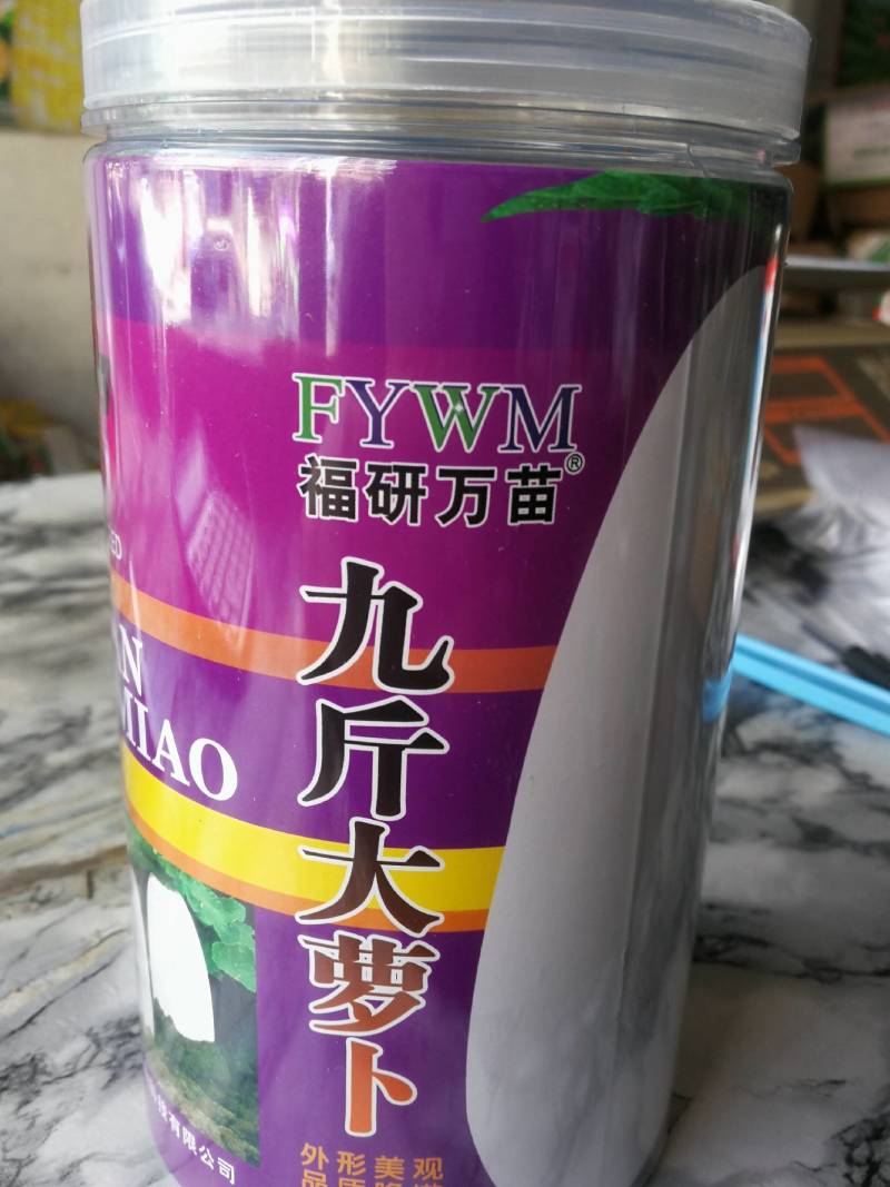 九斤大萝卜，耐湿耐寒丰产抗病皮簿色白空心晚适宜全国各地种