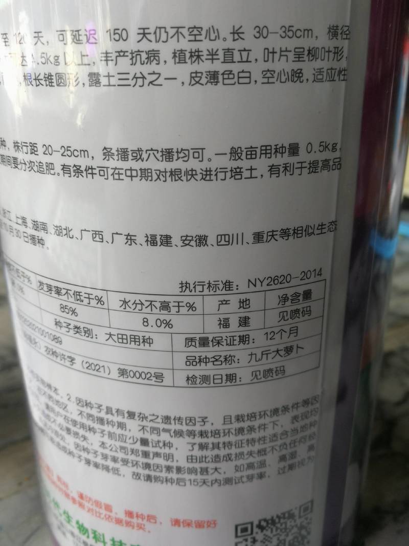 九斤大萝卜，耐湿耐寒丰产抗病皮簿色白空心晚适宜全国各地种