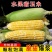 甜糯玉米，黄白粒，价格实惠，自家种植，位置交通放便，