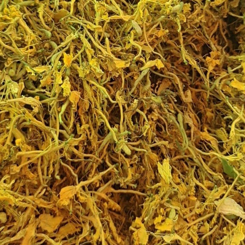 金银花一级干花
