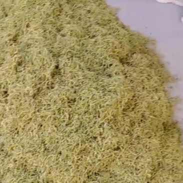 金银花一级干花